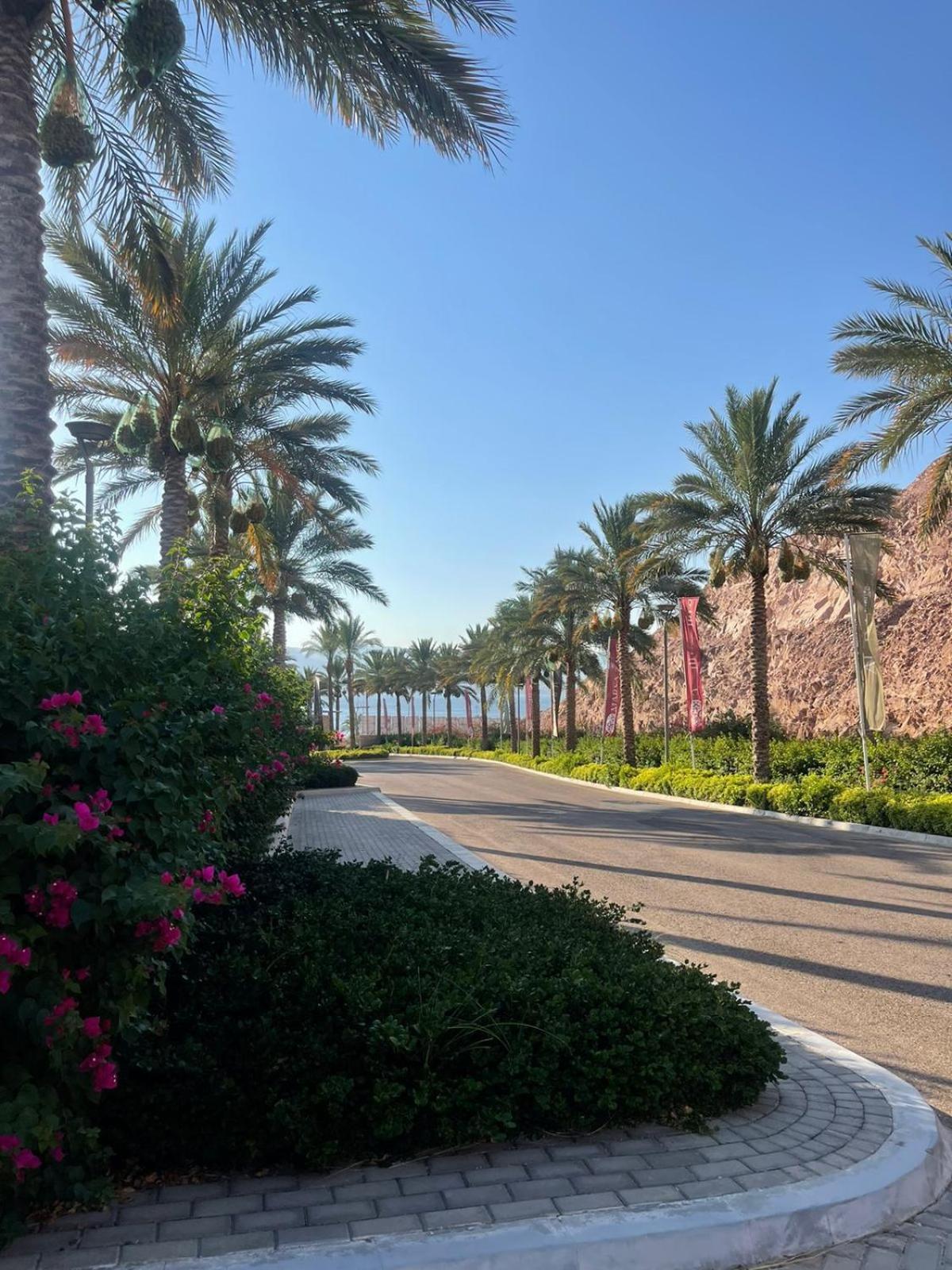 Aladnan Vip Aqaba